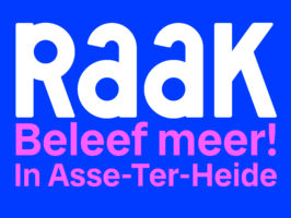 Raak Terheide